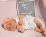 Macey Lucille Macey Lucille