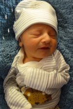 Blake Andrew Blake Andrew