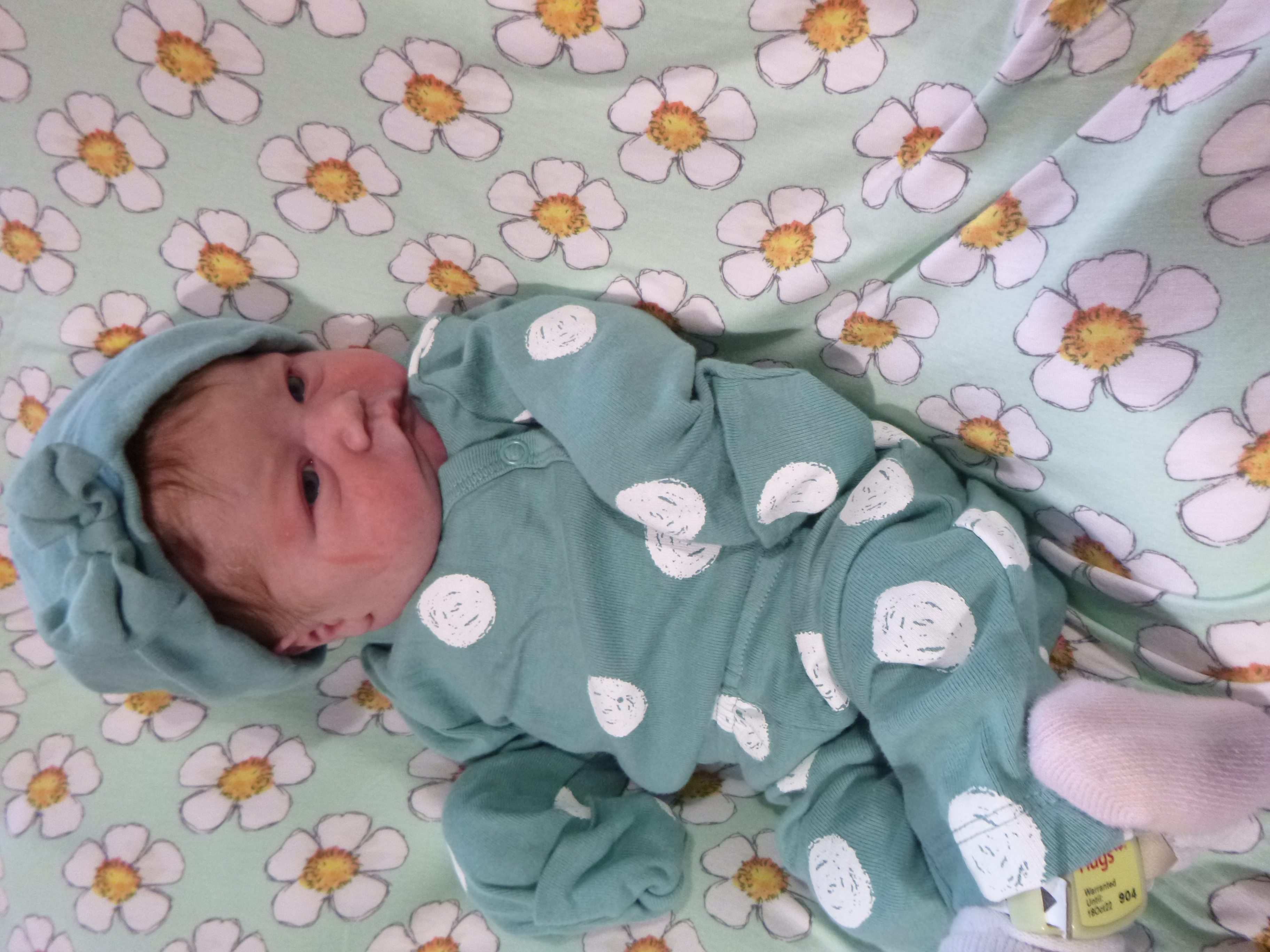 Evelynn Rose