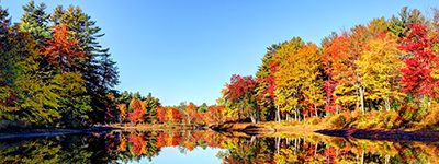 Fall_PA Trees_400x150.jpg